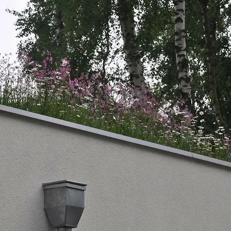 Idylla Polanki Apartamento Kołobrzeg